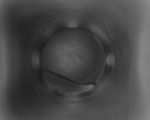 X0000101441444200807071353