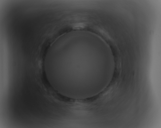 X0000101441445200807071353