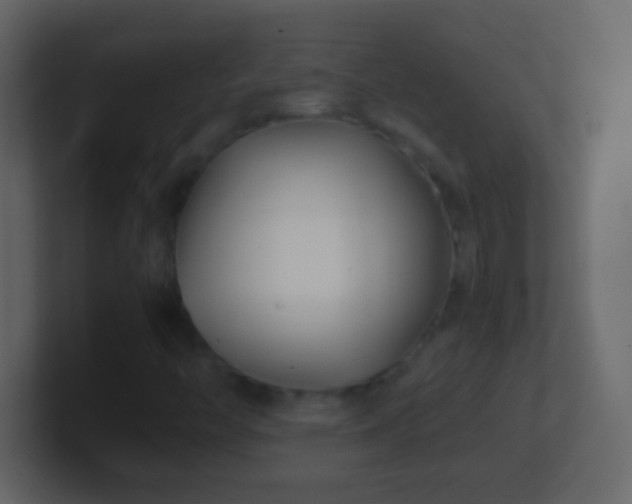 X0000101441446200807071353