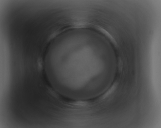 X0000101441449200807071353