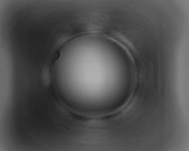 X0000101441451200807071353