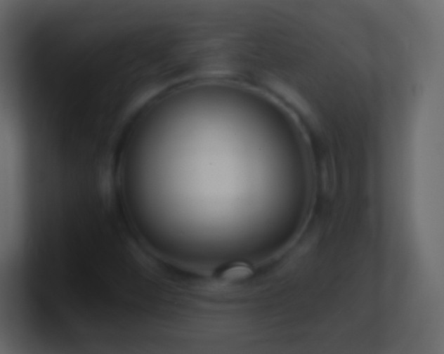 X0000101441452200807071353