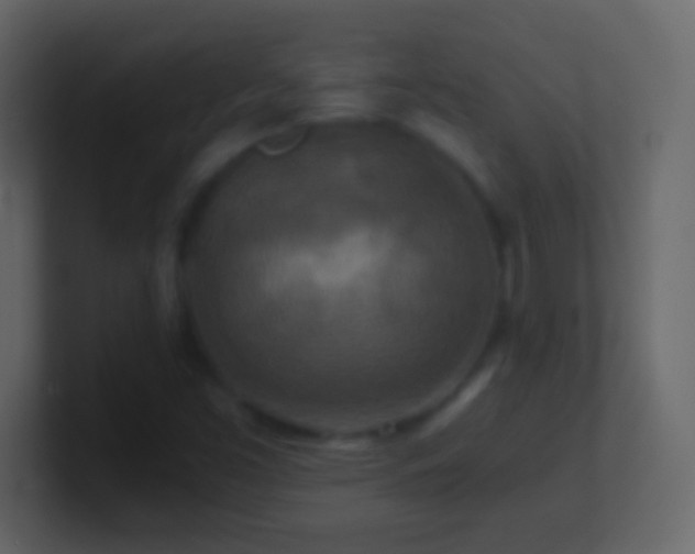X0000101441453200807071353