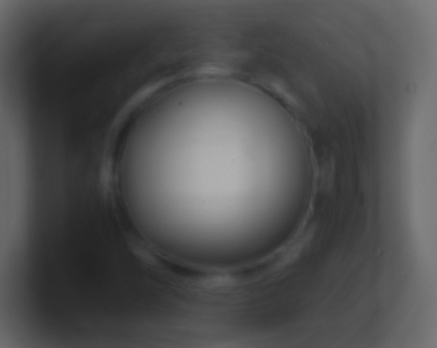 X0000101441454200807071353