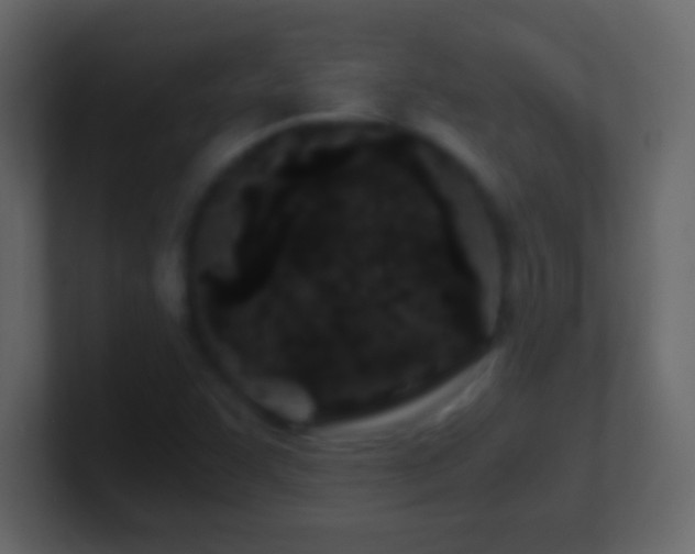 X0000101441455200807071353