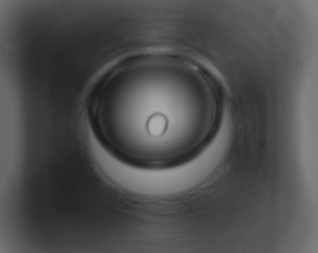 X0000101441456200807071352