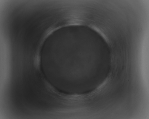 X0000101441459200807071352