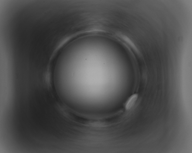 X0000101441460200807071352