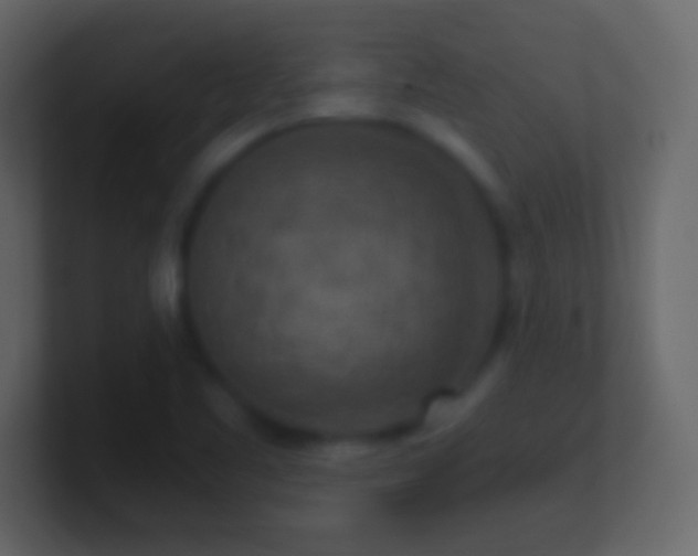 X0000101441461200807071352