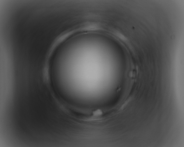 X0000101441464200807071352