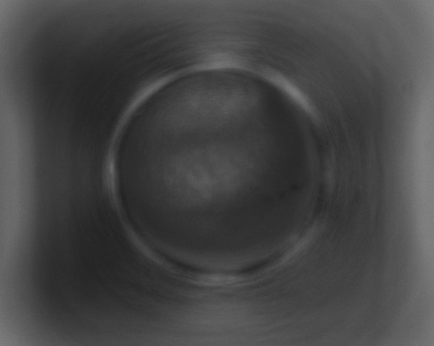 X0000101441468200807071352