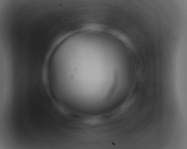 X0000101441470200807071352