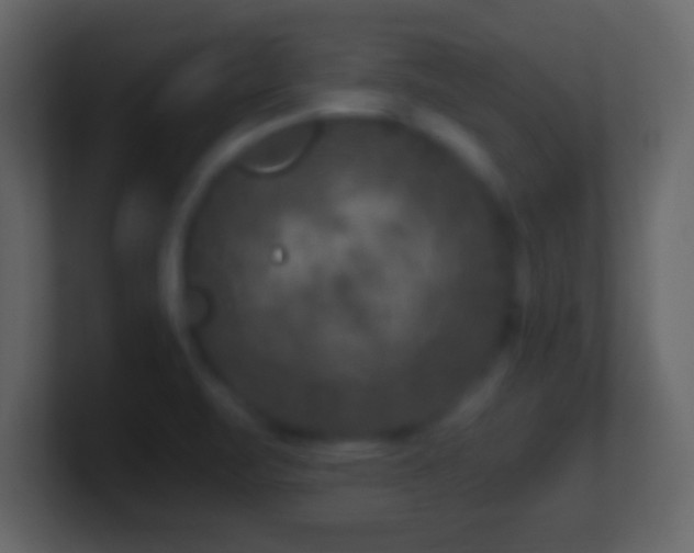 X0000101441471200807071352