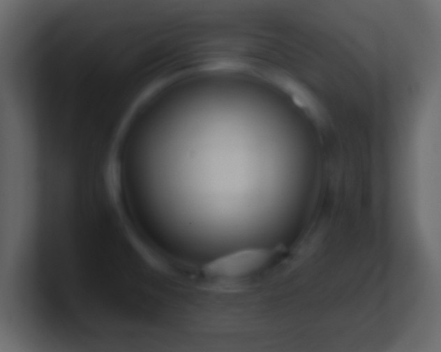 X0000101441476200807071352