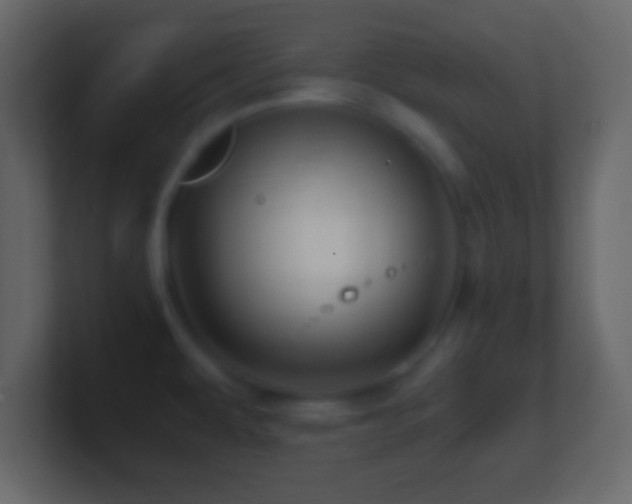 X0000101441479200807071352
