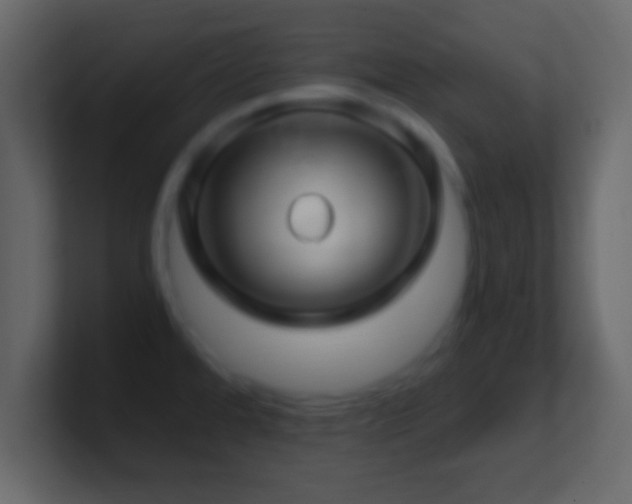X0000101441480200807071352