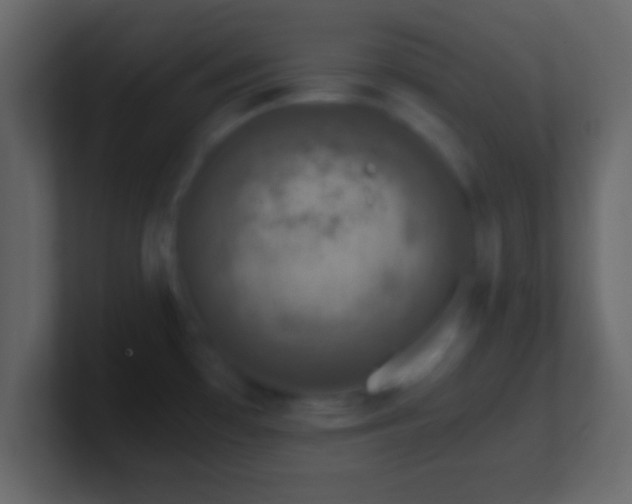 X0000101441481200807071352