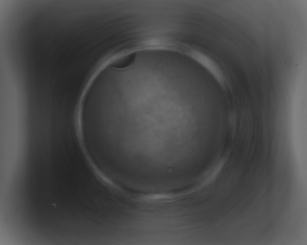 X0000101441482200807071352