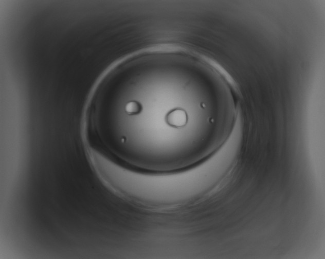 X0000101441484200807071352