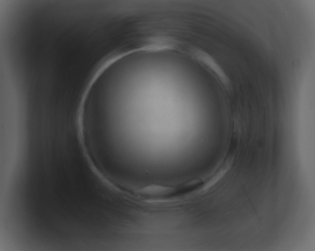 X0000101441487200807071352