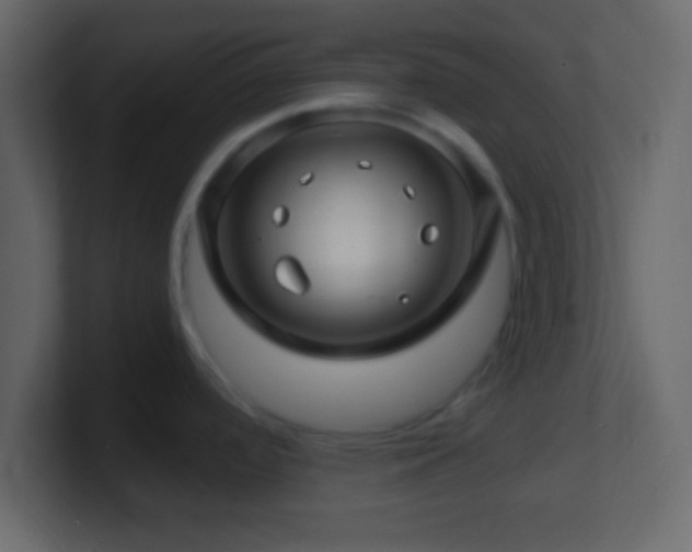 X0000101441488200807071352