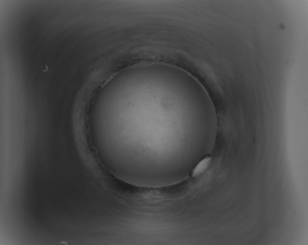 X0000101441489200807071351