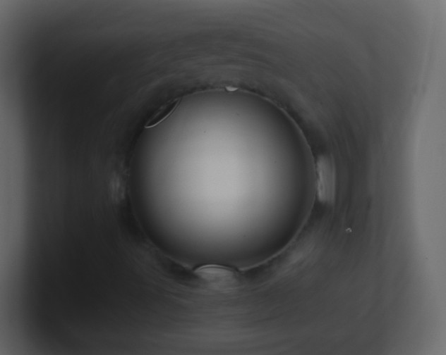 X0000101441491200807071351