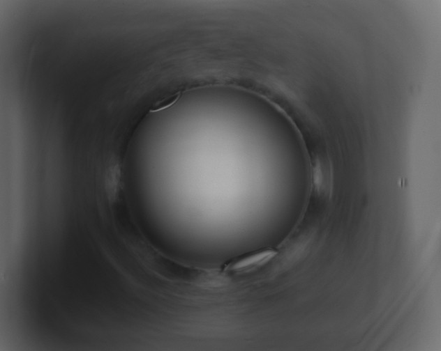 X0000101441492200807071351