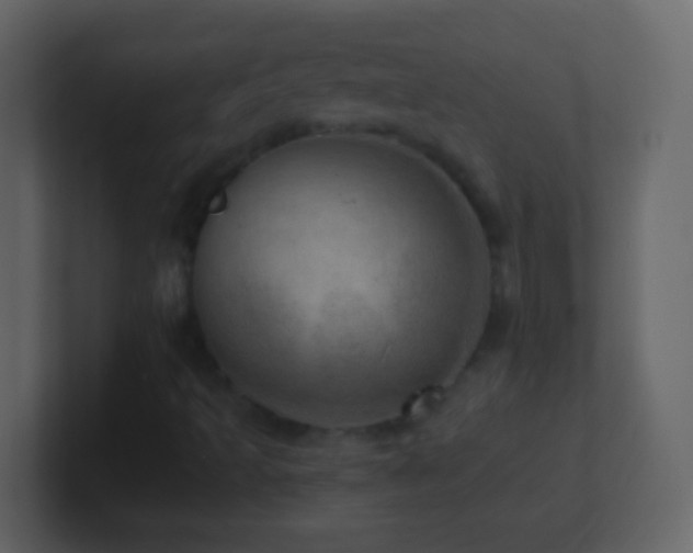 X0000101441493200807071351