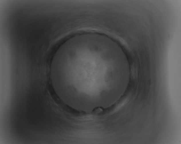 X0000101441494200807071351