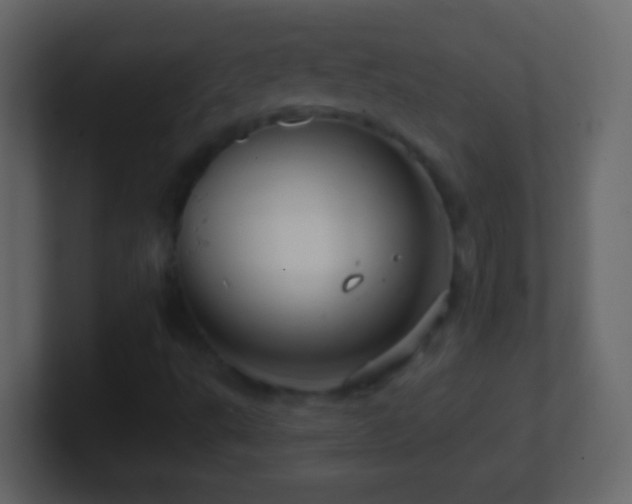 X0000101441495200807071352