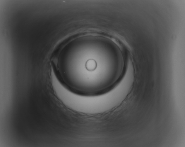 X0000101441496200807071352