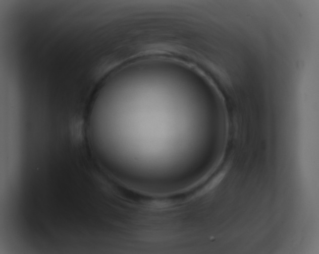 X0000101441497200807071352