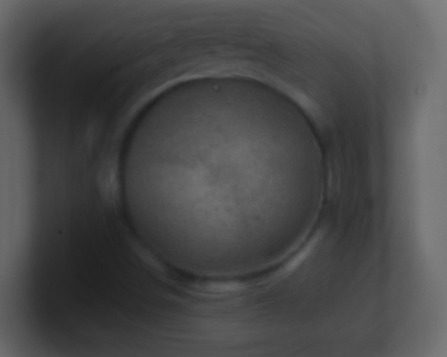 X0000101441498200807071352