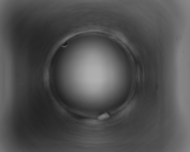 X0000101441500200807071352