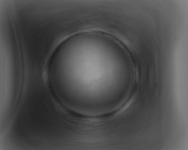 X0000101441501200807071352