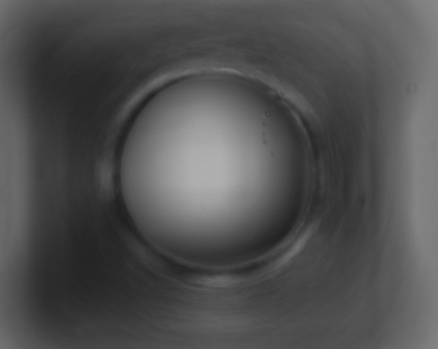 X0000101441502200807071352