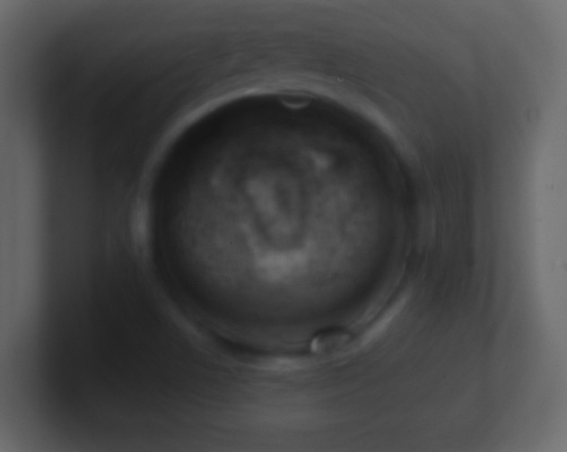 X0000101441506200807071352