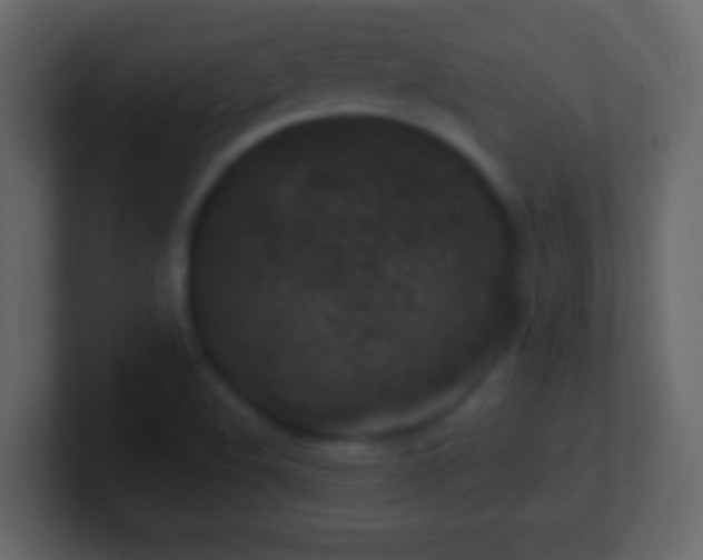 X0000101441508200807071352