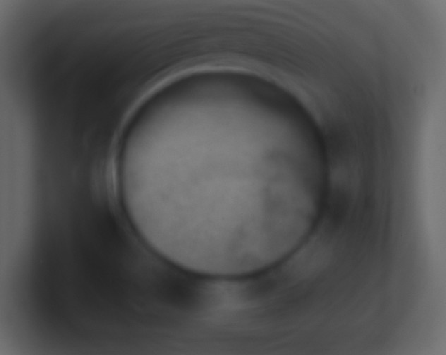 X0000101441514200807071352