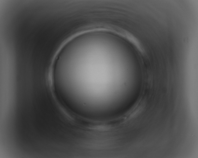 X0000101441516200807071352