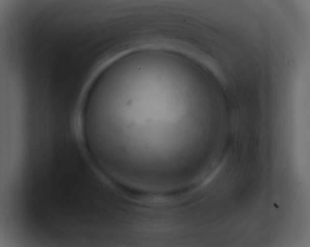 X0000101441517200807071352