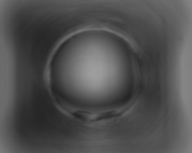 X0000101441519200807071352