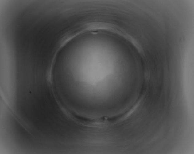 X0000101441521200807071352
