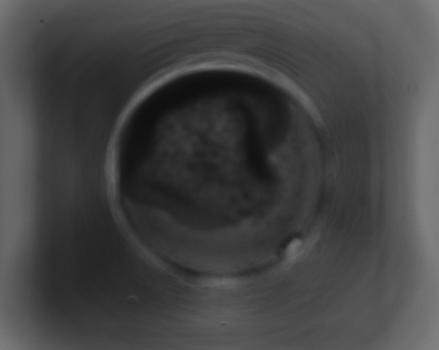 X0000101441522200807071352