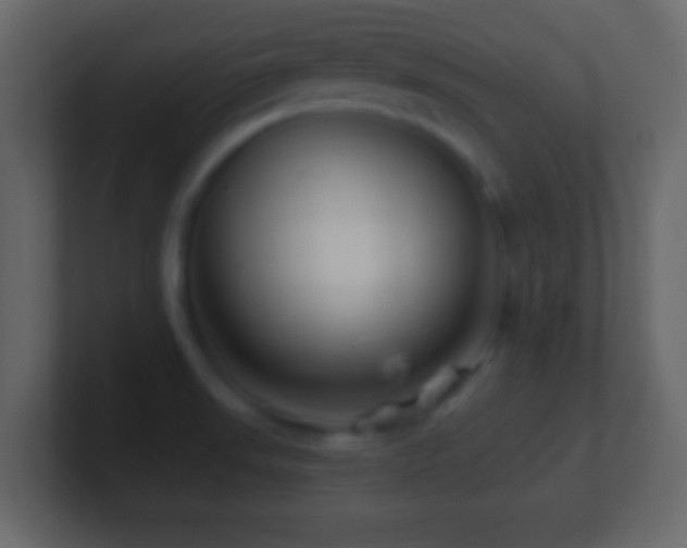 X0000101441523200807071352