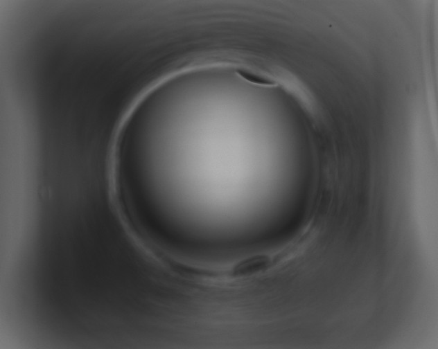 X0000101441524200807071352
