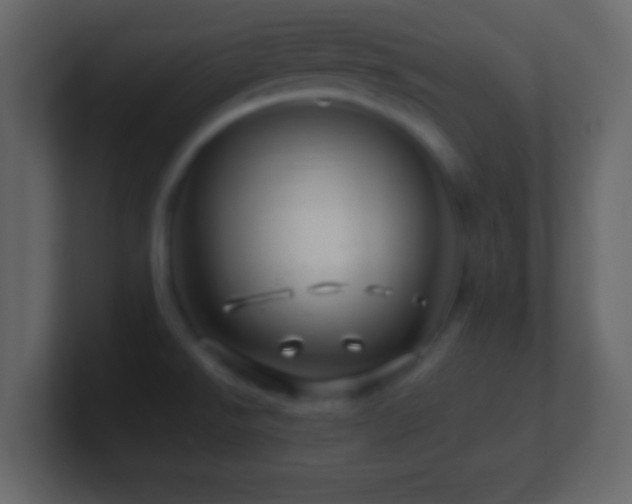 X0000101441526200807071352