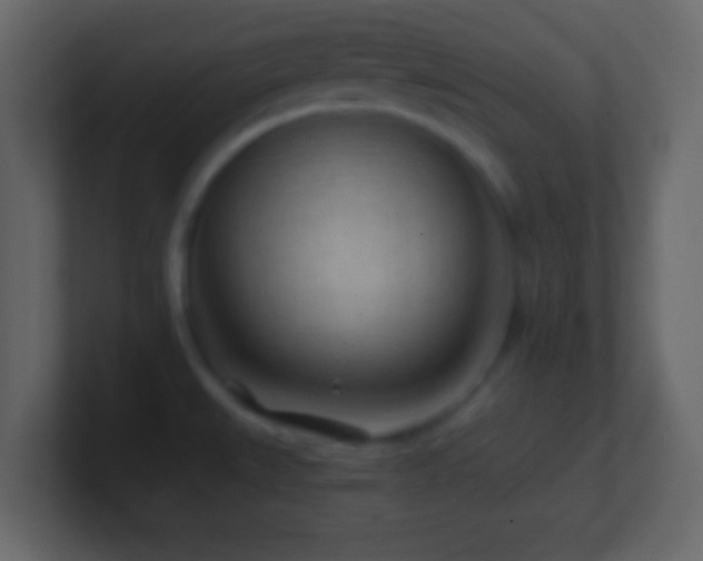 X0000101441527200807071352