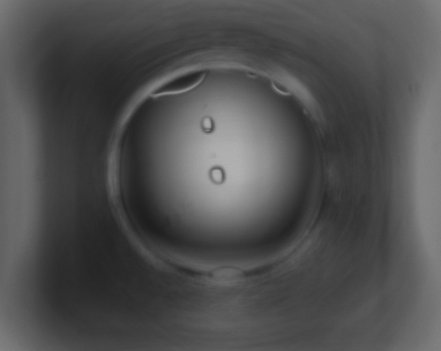 X0000101441528200807071352